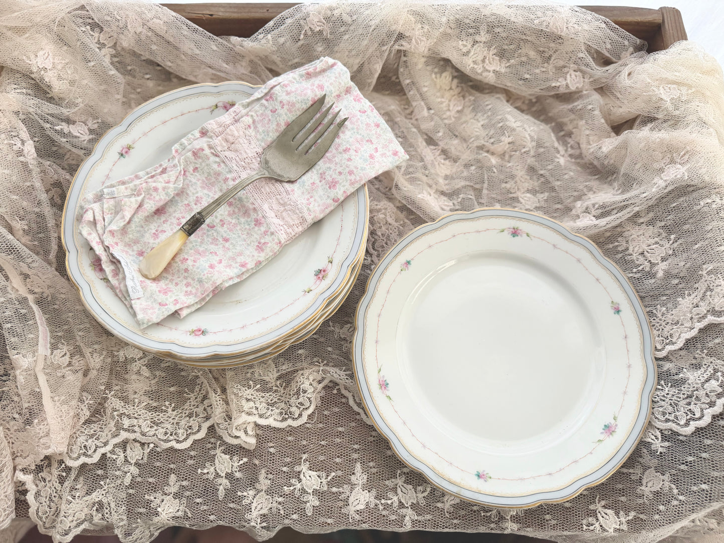Collection 6 Antique Hand Painted Pink Rose Blue Scalloped Plates