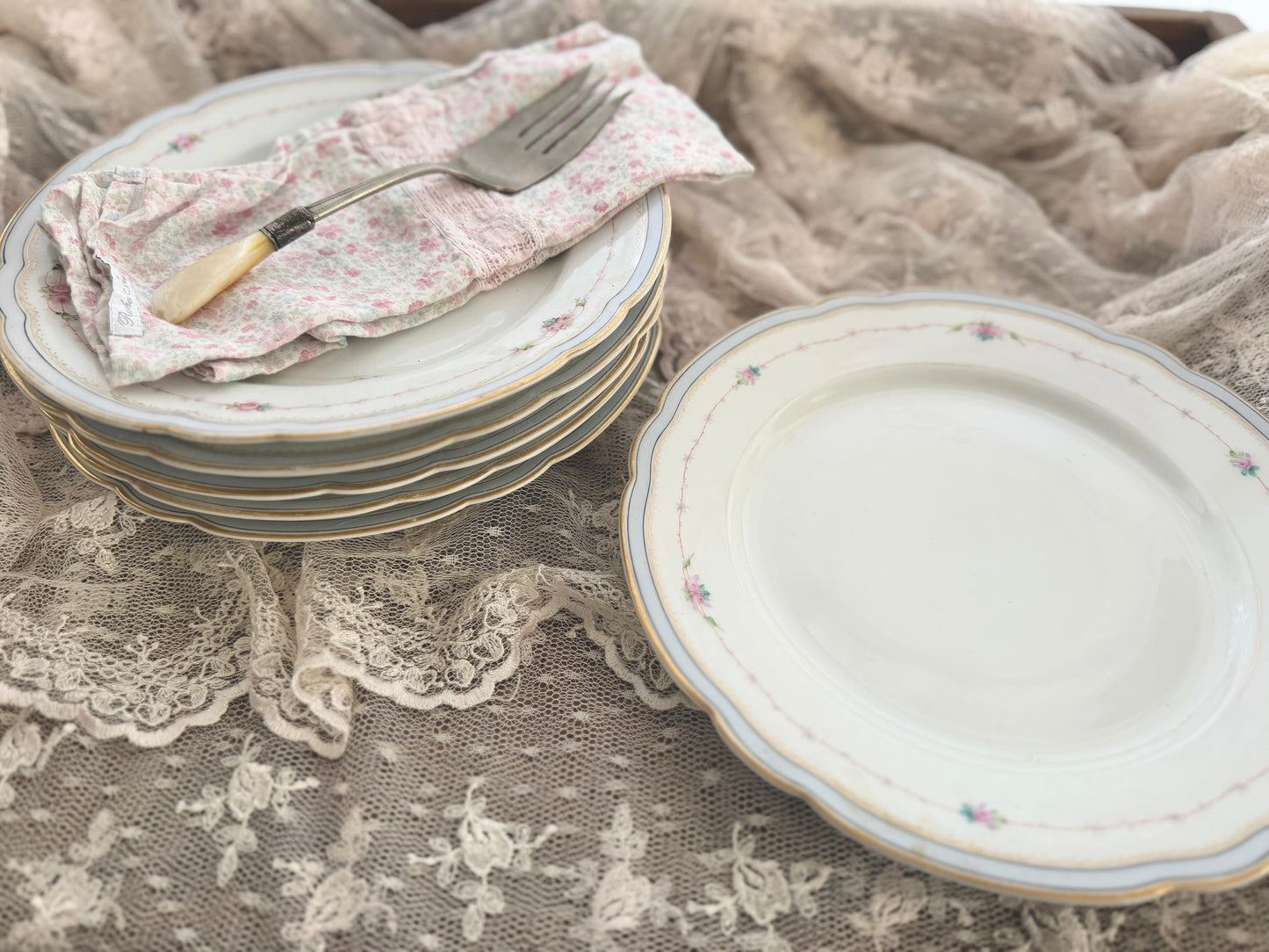 Collection 6 Antique Hand Painted Pink Rose Blue Scalloped Plates