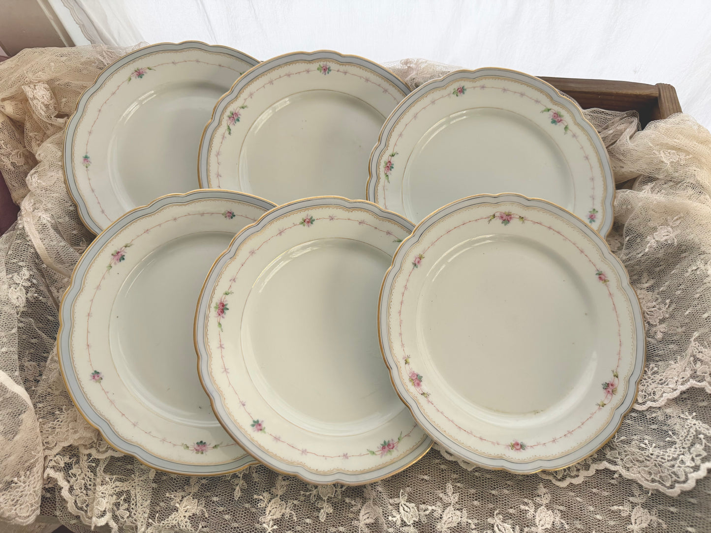Collection 6 Antique Hand Painted Pink Rose Blue Scalloped Plates