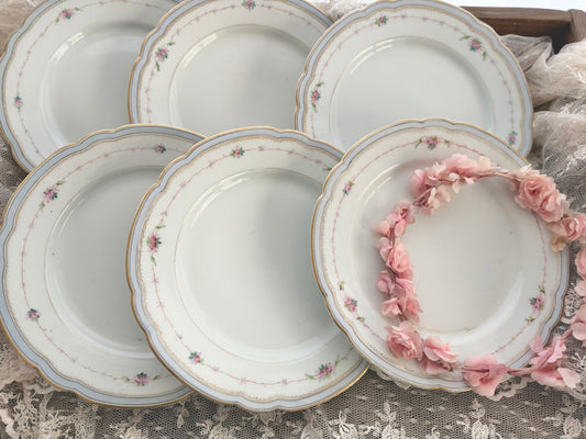 Collection 6 Antique Hand Painted Pink Rose Blue Scalloped Plates