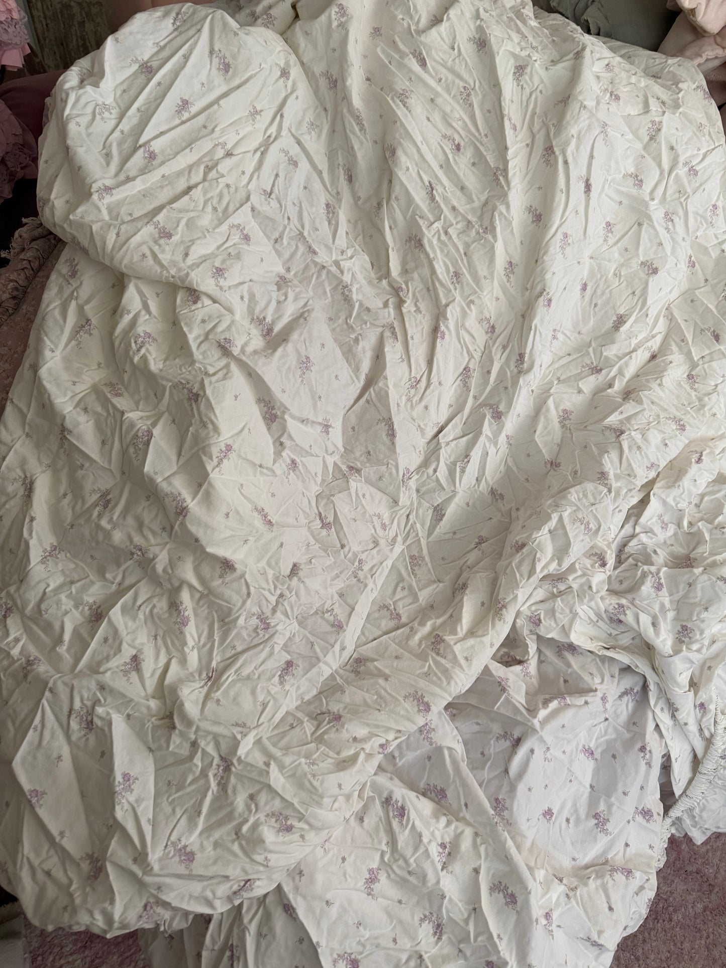 Rachel Ashwell Simply Shabby Chic Twin Fitted Sheet
