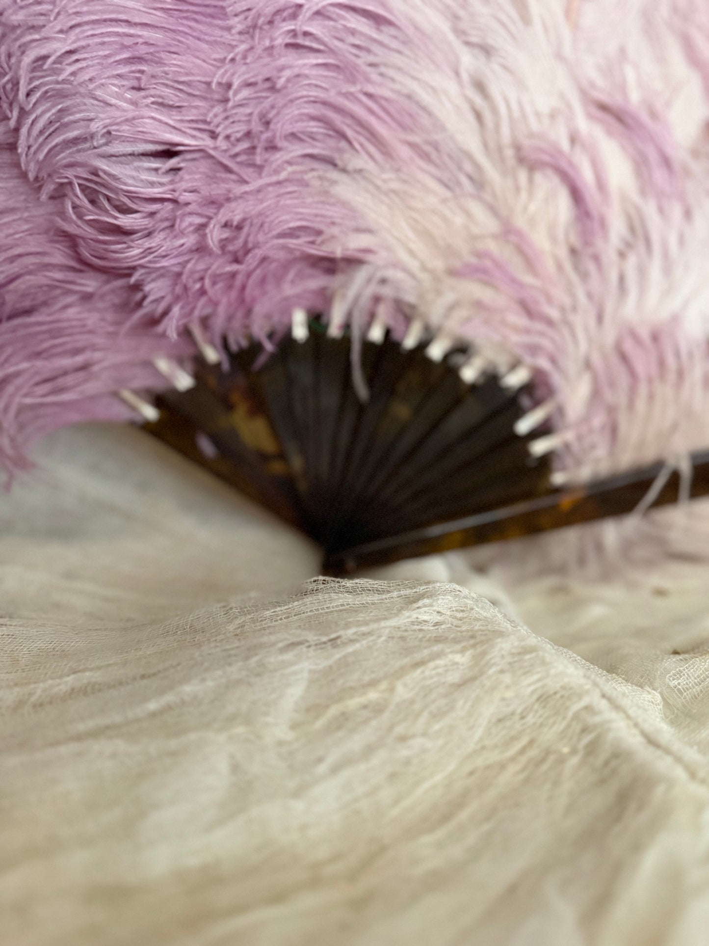 Antique Victorian Lavender Ostrich Feather Fan