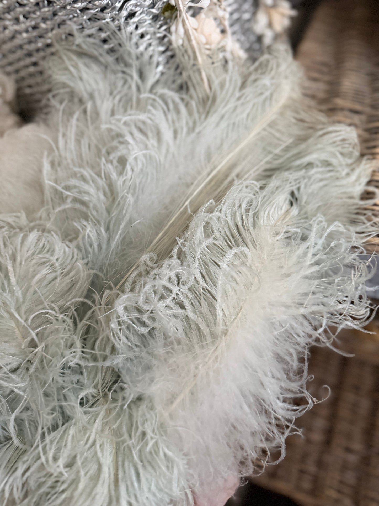 Exquisite Antique Belle Epoque Blue Ostrich Feather Fan Silk Ribbon