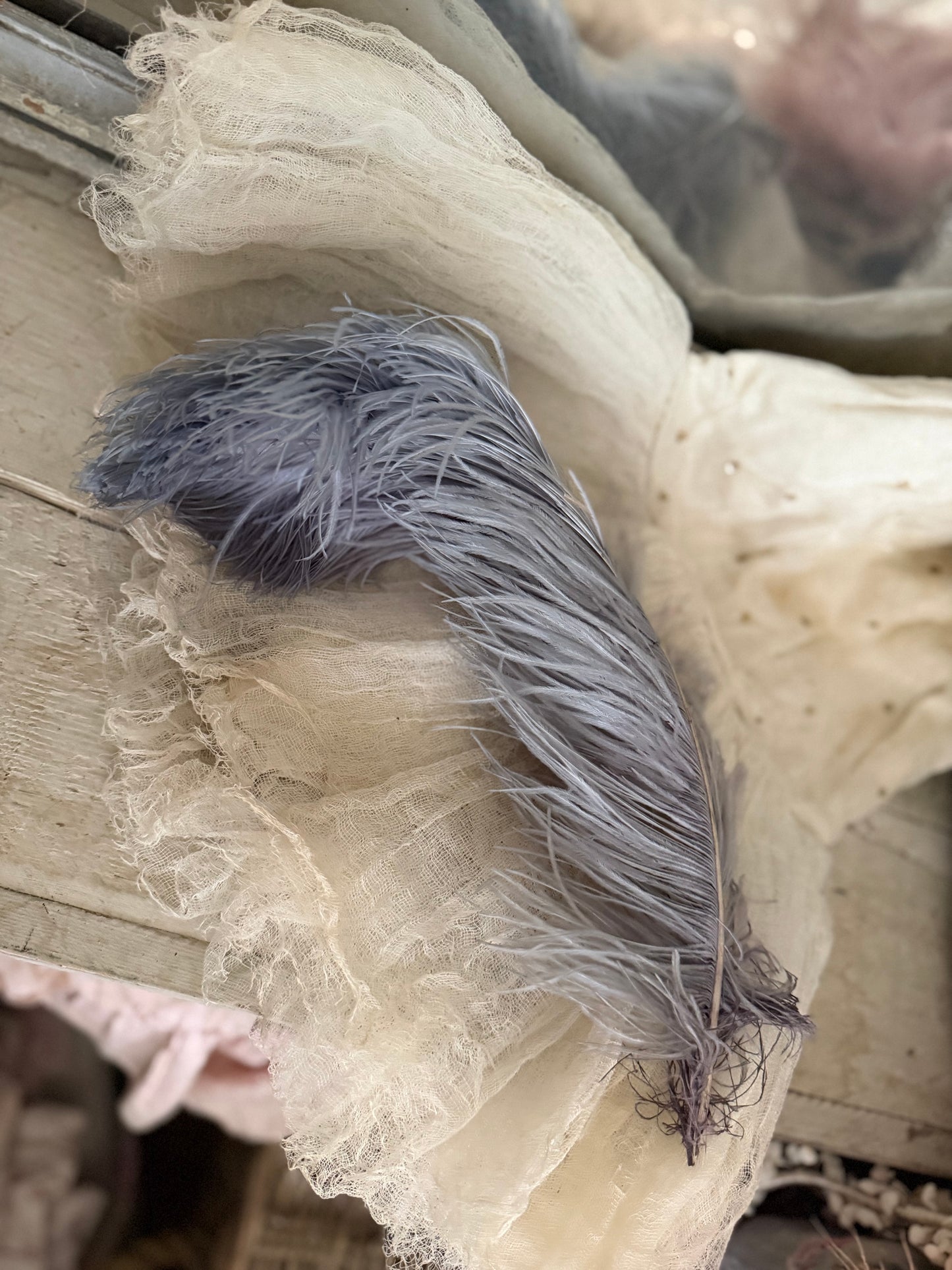 Antique Victorian Ostrich Feather Plume