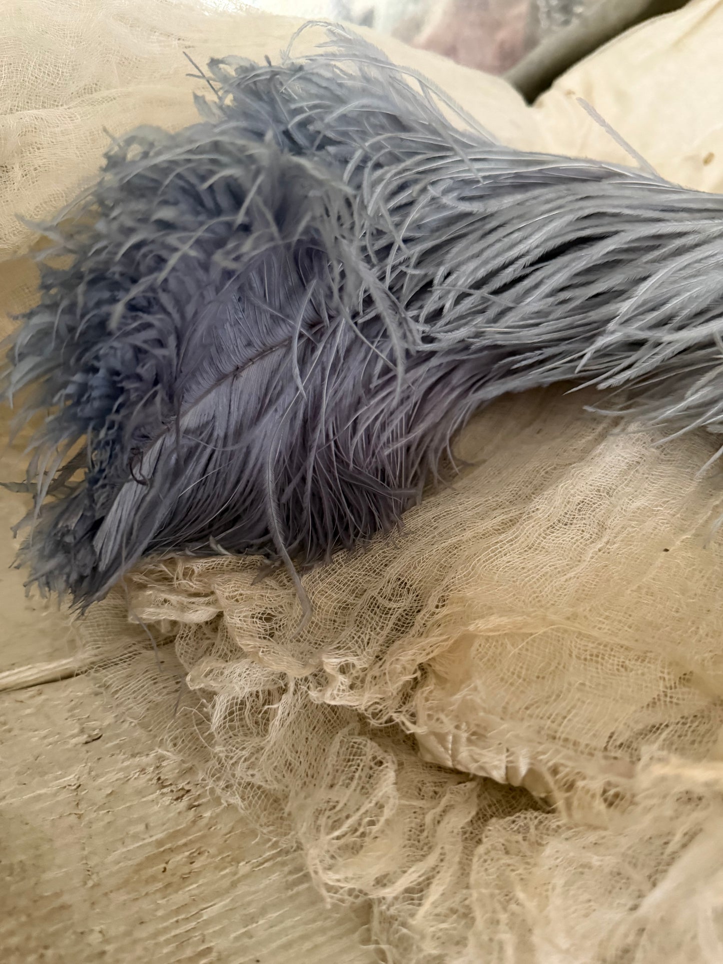 Antique Victorian Ostrich Feather Plume