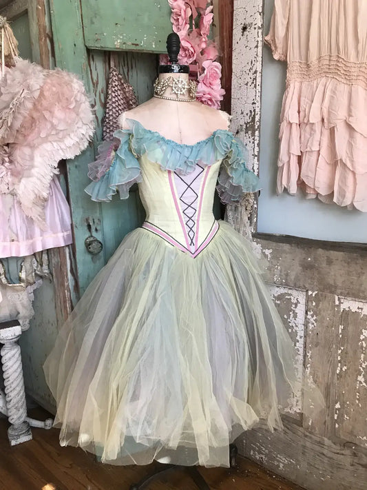 Vintage Ballet Tutu Costume Professional German Opera Sleeping Beauty